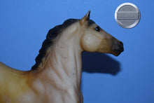 Load image into Gallery viewer, Buckskin Quarter Horse-Black Beauty Mold-Breyer Classic