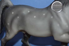 Load image into Gallery viewer, Calife-Family Arabian Stallion Mold-Breyer Traditional