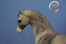 Load image into Gallery viewer, Calife-Family Arabian Stallion Mold-Breyer Traditional