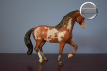 Load image into Gallery viewer, Ratsputin-Halloween Exclusive-Warmblood Stallion Mold-Breyer Classic
