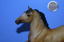 Load image into Gallery viewer, Buckskin Quarter Horse-Black Beauty Mold-Breyer Classic
