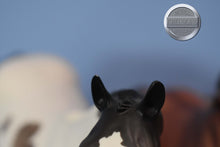 Load image into Gallery viewer, Friar Tuck-Matte-BRAIDED TAIL VERSION-LE of 10-FCM Ideal Stock Horse-Peter Stone