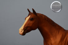 Load image into Gallery viewer, Offspring of Go Man Go-Ideal Quarter Horse Mold-Breyer Traditional