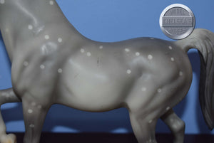 Calife-Family Arabian Stallion Mold-Breyer Traditional