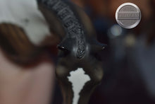 Load image into Gallery viewer, Friar Tuck-Matte-BRAIDED TAIL VERSION-LE of 10-FCM Ideal Stock Horse-Peter Stone