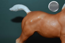 Load image into Gallery viewer, Palomino Family Arabian Foal #3-Breyer Traditional