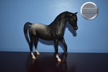 Load image into Gallery viewer, Black Appaloosa Arabian-Johar Mold-Breyer Classic