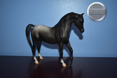 Black Appaloosa Arabian-Johar Mold-Breyer Classic