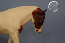 Load image into Gallery viewer, Smokin Double Dutch-Cantering Welsh Pony Mold-Breyer Traditional