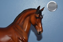 Load image into Gallery viewer, Spago-LE of 150-Matte-Warmblood Mold-Peter Stone