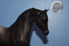 Load image into Gallery viewer, Black Appaloosa Arabian-Johar Mold-Breyer Classic