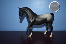 Load image into Gallery viewer, Black Appaloosa Arabian-Johar Mold-Breyer Classic