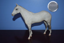 Load image into Gallery viewer, Grey from International Equestrian Collector's Set-Sears Exclusive-Halla Mold-Breyer Traditional