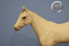 Load image into Gallery viewer, Grey from International Equestrian Collector's Set-Sears Exclusive-Halla Mold-Breyer Traditional