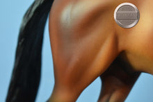 Load image into Gallery viewer, Spago-LE of 150-Matte-Warmblood Mold-Peter Stone