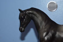 Load image into Gallery viewer, Black Appaloosa Arabian-Johar Mold-Breyer Classic