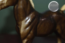 Load image into Gallery viewer, Charcoal Family Arabian Foal-Breyer Traditional