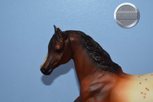 Load image into Gallery viewer, JAH Appaloosa Running Mare-Running Mare Mold-Breyer Traditional