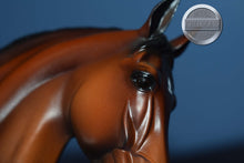 Load image into Gallery viewer, Spago-LE of 150-Matte-Warmblood Mold-Peter Stone