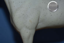 Load image into Gallery viewer, Grey from International Equestrian Collector's Set-Sears Exclusive-Halla Mold-Breyer Traditional