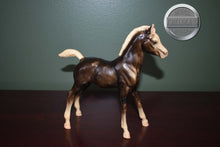 Load image into Gallery viewer, Charcoal Family Arabian Foal-Breyer Traditional