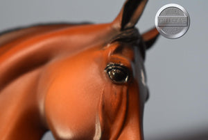 Spago-LE of 150-Matte-Warmblood Mold-Peter Stone