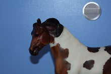Load image into Gallery viewer, Bay and White Paint Let&#39;s Go Riding-Ranch Horse Mold-Breyer Traditional