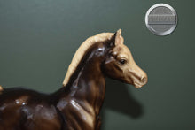 Load image into Gallery viewer, Charcoal Family Arabian Foal-Breyer Traditional