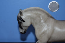 Load image into Gallery viewer, Rowan-Long Mane Version-Premier Club Exclusive-British Riding Pony Mold-Breyer Traditional