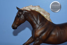 Load image into Gallery viewer, Silver Bay Sport Horse-Black Beauty Mold-Breyer Traditional