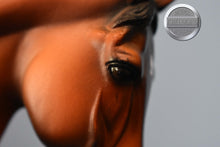 Load image into Gallery viewer, Spago-LE of 150-Matte-Warmblood Mold-Peter Stone