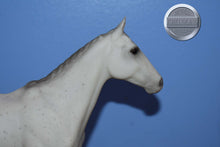 Load image into Gallery viewer, Grey from International Equestrian Collector's Set-Sears Exclusive-Halla Mold-Breyer Traditional
