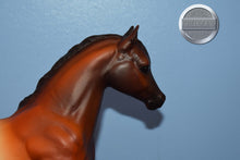 Load image into Gallery viewer, JAH Appaloosa Running Mare-Running Mare Mold-Breyer Traditional