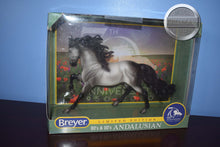 Load image into Gallery viewer, 70th Anniversary Grey Andalusian-Andalusian Stallion Mold-Breyer Traditional