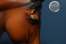 Load image into Gallery viewer, Spago-LE of 150-Matte-Warmblood Mold-Peter Stone