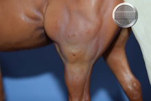 Load image into Gallery viewer, Elvis Presley's Rising Sun-Stock Horse Stallion Mold-Breyer Traditional