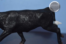 Load image into Gallery viewer, Black Running Calf-Classic Scale