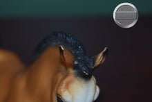 Load image into Gallery viewer, Buckskin Lying Foal-Lying Foal Mold-Breyer Traditional
