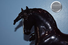 Load image into Gallery viewer, Speos-Decorator Version-Breyerfest Exclusive-Rare-Amazigh Stallion Mold-Breyer Traditional