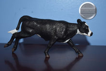 Load image into Gallery viewer, Black Running Calf-Classic Scale
