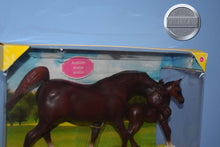 Load image into Gallery viewer, Chestnut Arabian and Foal-New in Box-Breyer Classic