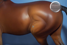 Load image into Gallery viewer, Spago-LE of 150-Matte-Warmblood Mold-Peter Stone