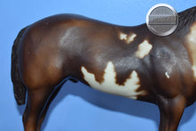 Load image into Gallery viewer, Chestnut Overo Paint-Stud Spider Mold-Breyer Traditional