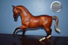 Load image into Gallery viewer, Flaxen Chestnut Roemer #2-Roemer Mold-Breyer Traditional