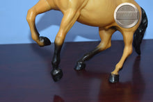 Load image into Gallery viewer, Diablo-Buckskin Mustang-Semi Rearing Mustang-Breyer Traditional