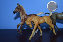 Load image into Gallery viewer, Lot of 5 Classic Foals-Breyer Classics