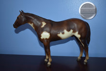 Load image into Gallery viewer, Chestnut Overo Paint-Stud Spider Mold-Breyer Traditional