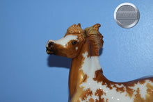 Load image into Gallery viewer, Sandman-Vintage Club Exclusive-Smoky Mold-Breyer Traditional