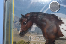 Load image into Gallery viewer, 70th Anniversary Appaloosa-Indian Pony Mold-Breyer Traditional