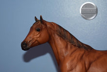 Load image into Gallery viewer, Guy McLean's Nugget-Stock Horse Stallion Mold-Breyer Traditional